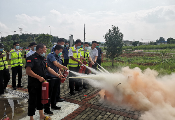 一句爆一码